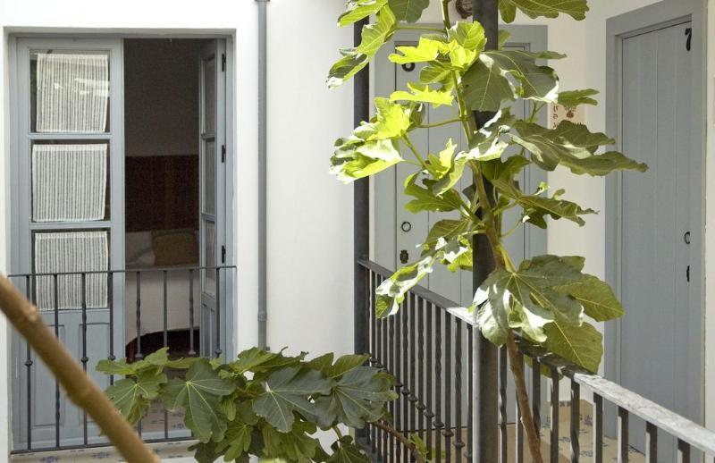 فندق La Botica De Vejer مْبيخير ذي لا فرونتيرا المظهر الخارجي الصورة